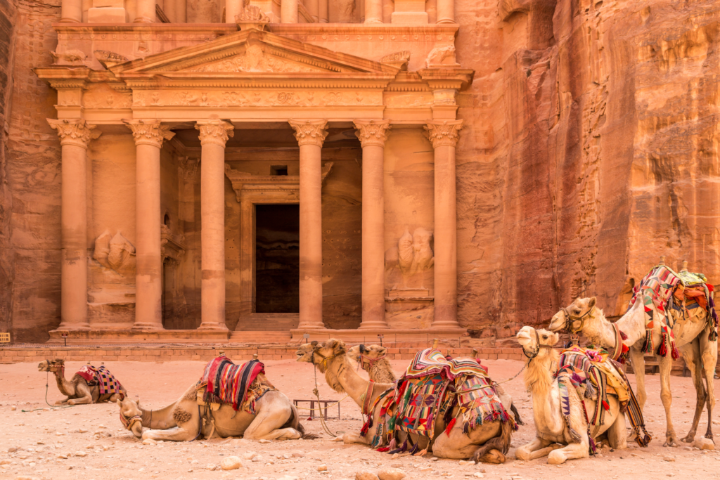 Canva – PETRA, JORDAN – JUNE 30, 2014_ Camels resting near the ancient temple in Petra, Jordan